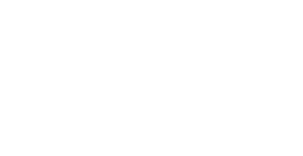 Sole Union